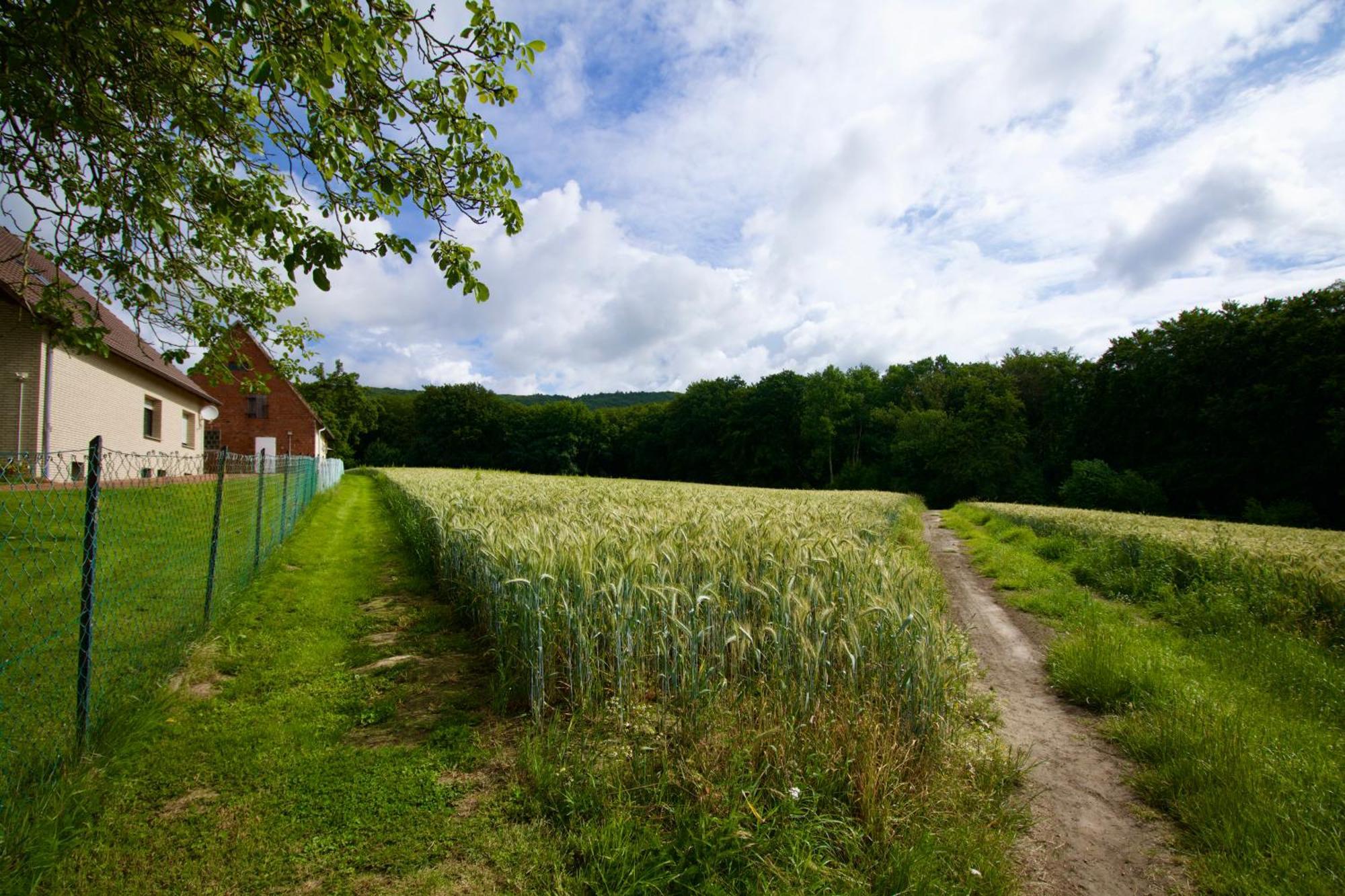 Ferienhaus Plattenberg Bad Oeynhausen Luaran gambar